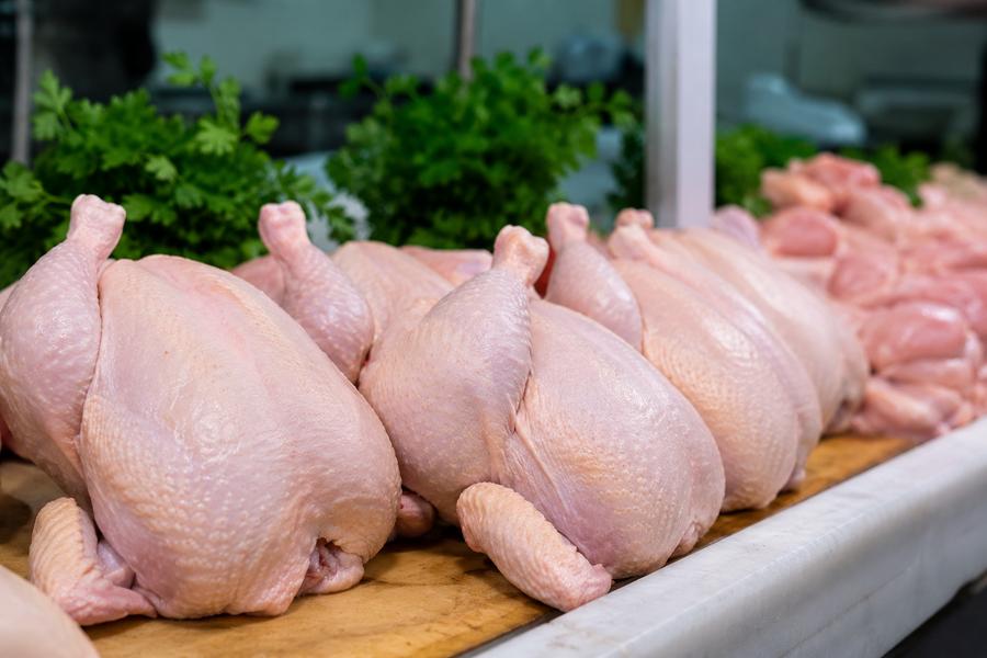 Maroc : les prix du poulet poursuivent leur baisse dans les marchés