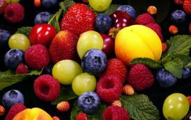 Sécheresse en Europe : le Maroc consolide sa place parmi les fournisseurs de produits frais