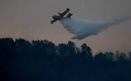 France unveils €438 million forest investment plan to tackle wildfires and climate risks
