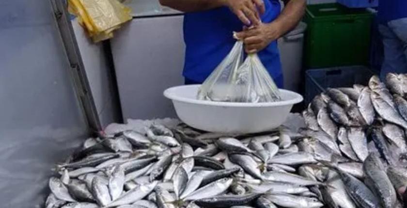 Prix de la sardine au Maroc : le Conseil de la concurrence approche de la fin de son enquête