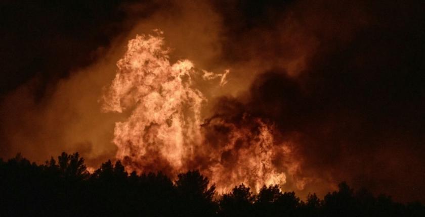Le Var mobilise d'importants moyens face à un incendie de forêt attisé par la canicule