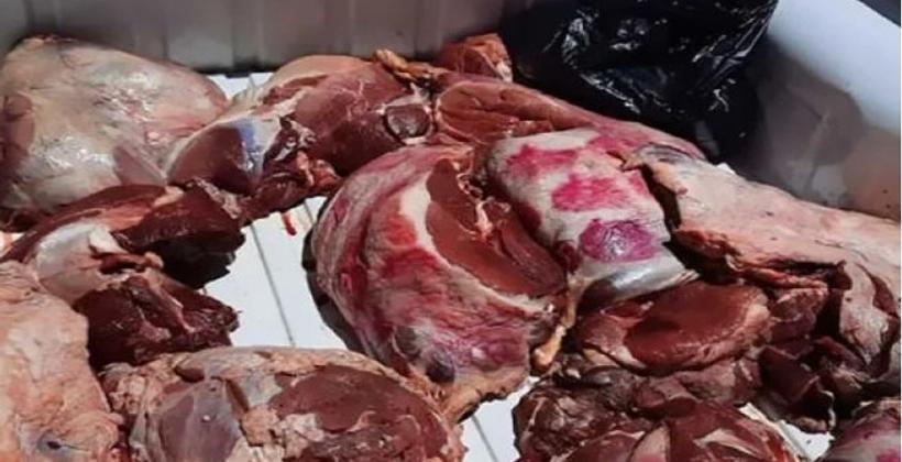 حجز لحوم فاسدة وبقايا حمير داخل مغارة ضواحي أكادير