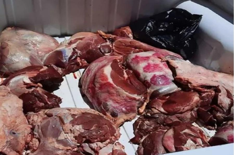 حجز لحوم فاسدة وبقايا حمير داخل مغارة ضواحي أكادير