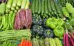 Vegetable prices surge in France as extreme weather drives annual inflation