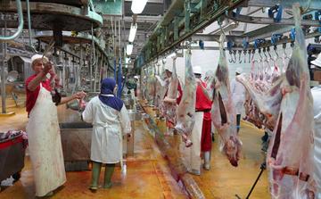 Casablanca renforce la modernisation de ses Abattoirs communaux grâce à une salle de contrôle centralisée