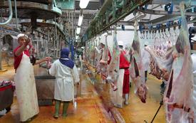 Casablanca renforce la modernisation de ses Abattoirs communaux grâce à une salle de contrôle centralisée