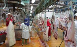 Casablanca renforce la modernisation de ses Abattoirs communaux grâce à une salle de contrôle centralisée