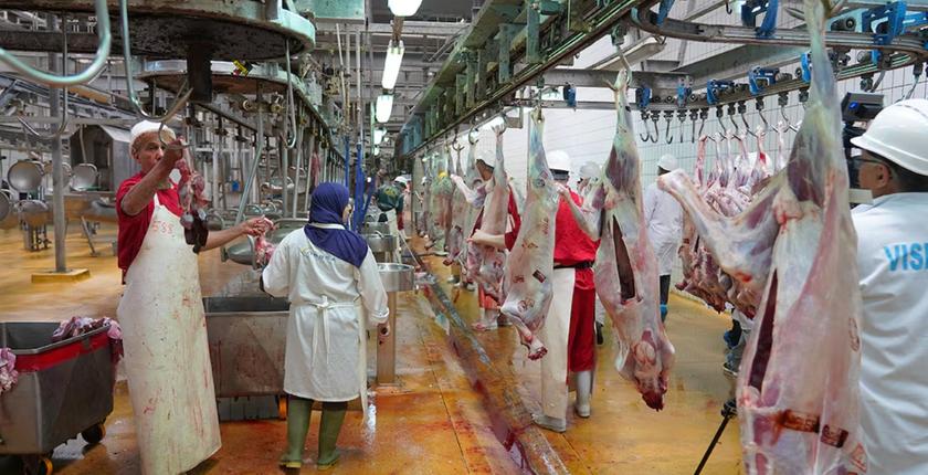 Casablanca renforce la modernisation de ses Abattoirs communaux grâce à une salle de contrôle centralisée