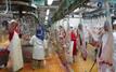 Casablanca renforce la modernisation de ses Abattoirs communaux grâce à une salle de contrôle centralisée