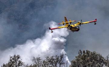 Forêts au Maroc : malgré une hausse des départs de feu, les superficies brûlées reculent en 2026