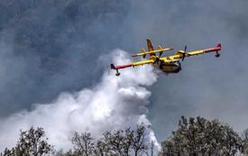Forêts au Maroc : malgré une hausse des départs de feu, les superficies brûlées reculent en 2026