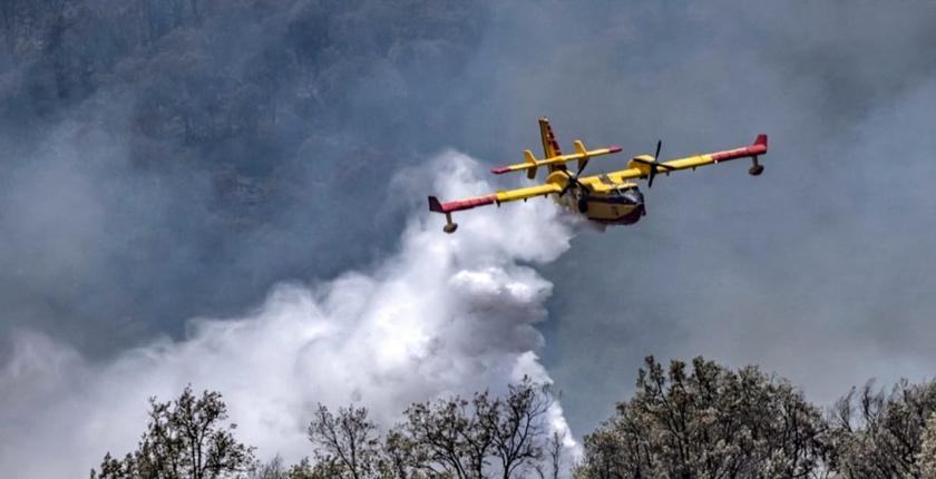 Forêts au Maroc : malgré une hausse des départs de feu, les superficies brûlées reculent en 2026