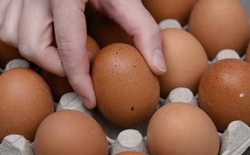 Lidl egg recall in France after salmonella contamination warning