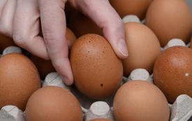 Lidl egg recall in France after salmonella contamination warning