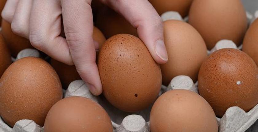 Fransa'da Lidl yumurta geri çağrısı, salmonella kontaminasyonu uyarısı sonrası
