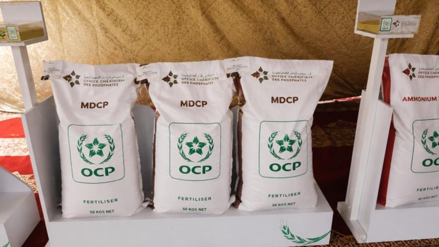 Bangladesh : 70 000 tonnes d’engrais marocains approuvées auprès d’OCP Nutricrops