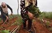Agriculture : le Maroc met en avant l’autonomisation des femmes agricultrices à Rome