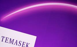 Temasek нацеливается на инвестиции в оборону Европы на фоне роста военных расходов