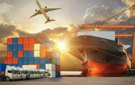 Power Export : près de 100 entreprises retenues pour renforcer les exportations marocaines