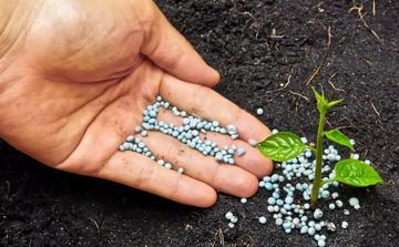 Le département américain du Commerce préconise le maintien des droits compensateurs sur les engrais phosphatés marocains