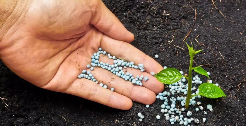 Le département américain du Commerce préconise le maintien des droits compensateurs sur les engrais phosphatés marocains