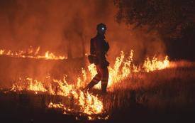Madrid et le sud-ouest de la France en lutte contre des incendies de forêt d’une ampleur exceptionnelle