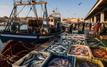 Port de Tarfaya : les débarquements de la pêche progressent de 23 % au premier semestre 2026