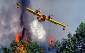 Incendies en Méditerranée : le nord du Maroc renforce sa vigilance face au risque de feux de forêt