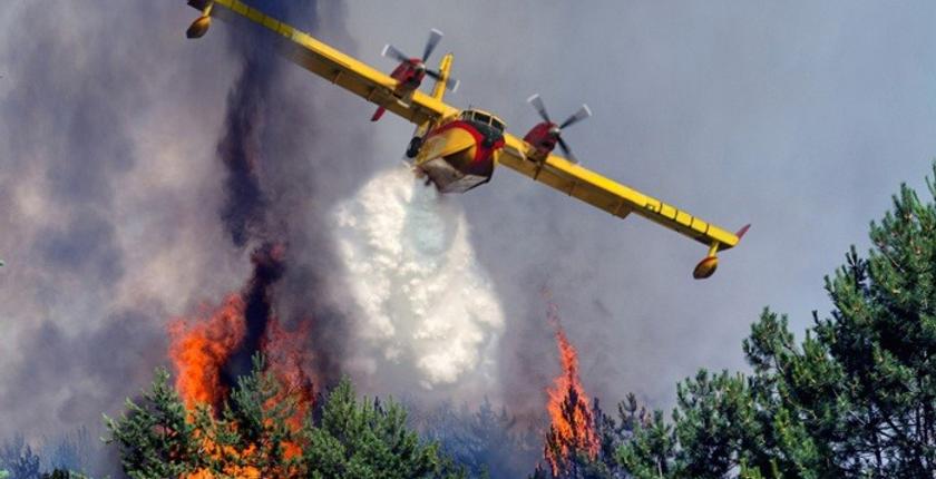 Incendies en Méditerranée : le nord du Maroc renforce sa vigilance face au risque de feux de forêt