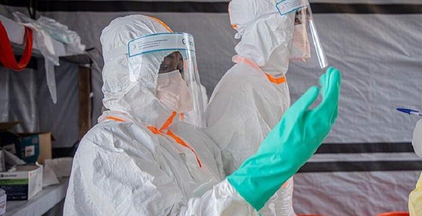 Novo candidato a vacina russa mostra promessas contra a cepa Bundibugyo do vírus Ebola