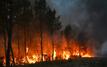 Espagne : Les incendies de forêt détruisent plus de 173 000 hectares en 2026