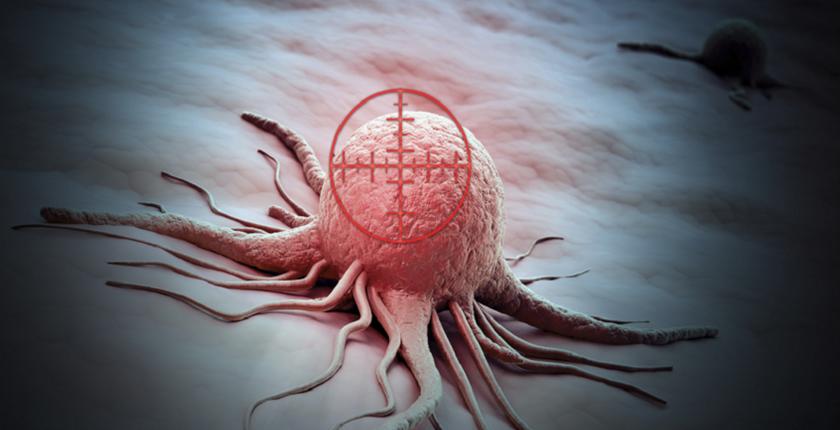 Genetically engineered bacteria offer new hope for pancreatic cancer treatment