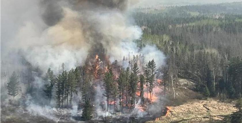 ⵜⴰⵡⴰⵛⵓⵍⵜ ⵏ ⵍⵃⵓⵎⴰⵏ ⵜⴻⵙⵙⴰⵡⴻⴹ ⵓⴳⴰⵔ ⵏ 900 ⵏ ⵜⵉⵎⴻⵙ ⴷⴻⴳ Kanada