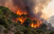 Incendies de forêt : l’ANEF place plusieurs provinces du Maroc en alerte maximale jusqu’au 3 août