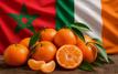 Le Maroc dépasse l’Espagne et s’impose sur le marché irlandais des mandarines