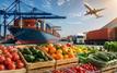 Maroc : les exportations agroalimentaires atteignent un record de 86,2 milliards de dirhams en 2025