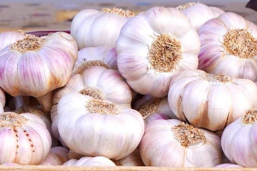 المنافسة الصينية والإسبانية تخرج منتجي الثوم للاحتجاج