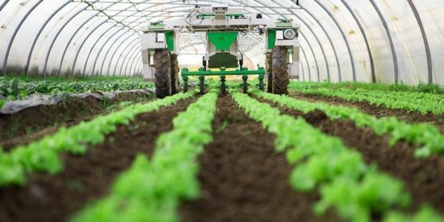 Le Maroc, vitrine du financement agricole selon le STDF