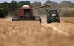 France wheat harvest forecast cut by 4% as heatwaves hit 2026 crops