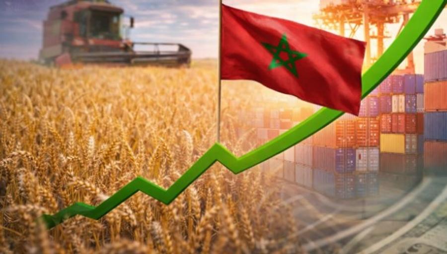 الفلاحة والخدمات تقودان قاطرة نمو الإقتصاد المغربي