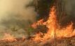 Espagne : un incendie ravage plus de 2.000 hectares dans la province de Guadalajara