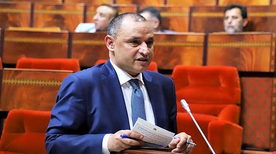 برلمانية تسائل مزور عن مآل ملايير "صنع في المغرب"