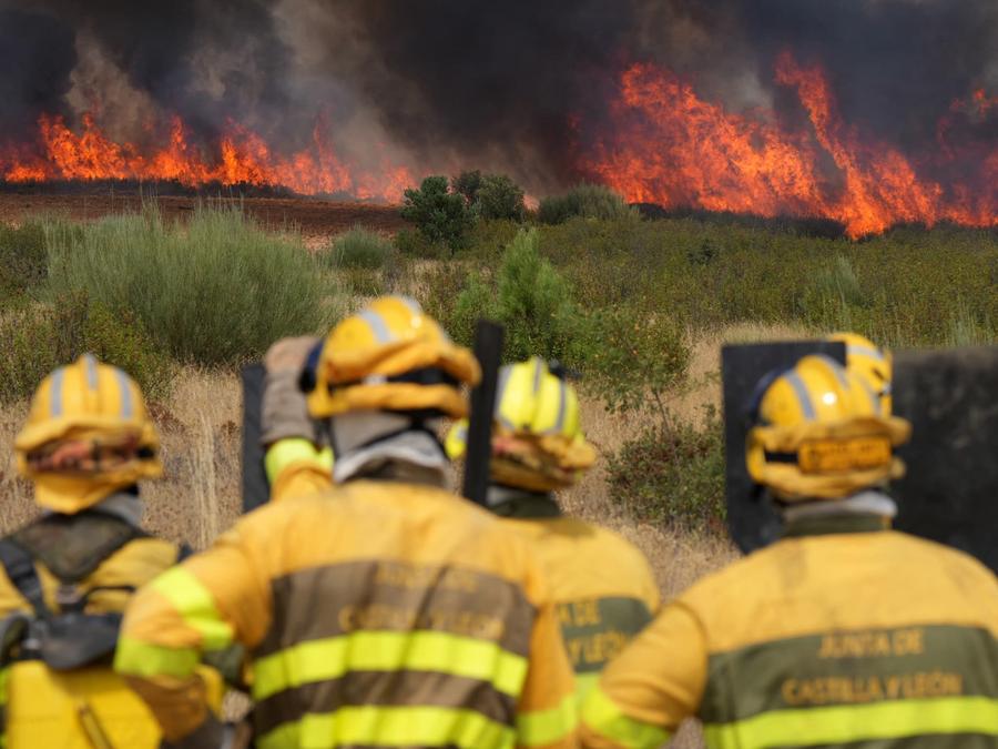 Espagne : les incendies de forêt ont déjà détruit plus de 43.000 hectares en 2026