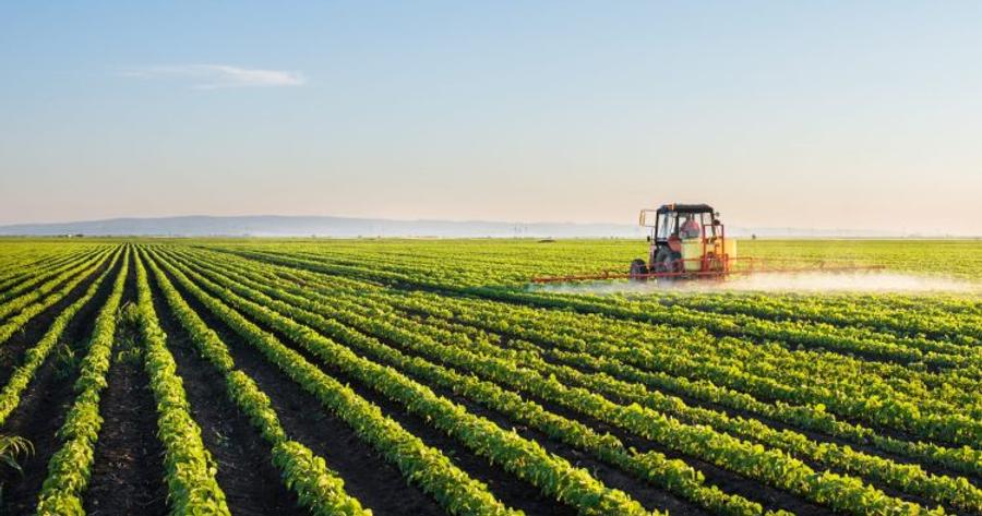 Le Maroc face aux défis climatiques de l’agriculture mondiale