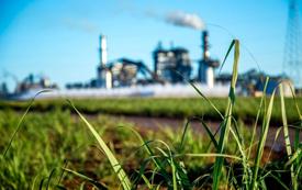 OCP accélère sa transition verte pour devenir un leader africain de la décarbonation
