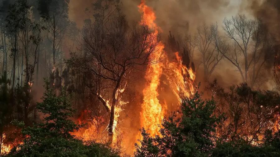 Portugal : le Maroc mobilisé aux côtés de l'Europe face au risque croissant d'incendies de forêt
