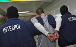 Morocco joins Interpol-led global operation that uncovers $300 million in criminal assets