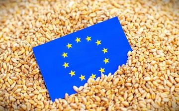 Bruxelles prévoit une baisse de la production céréalière européenne en 2026