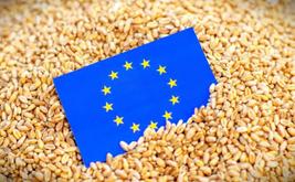 Bruxelles prévoit une baisse de la production céréalière européenne en 2026