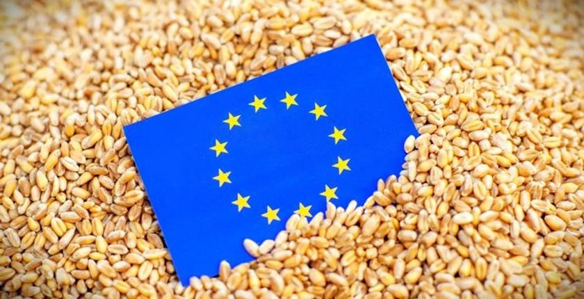 Bruxelles prévoit une baisse de la production céréalière européenne en 2026